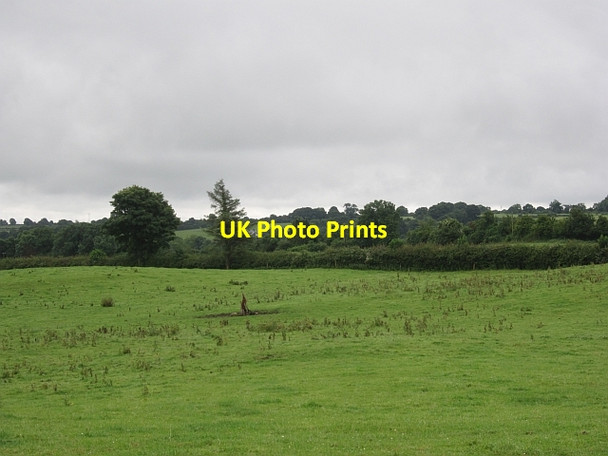 Photo 6"x4" Grass field, Brackagh The Pigeons c2012