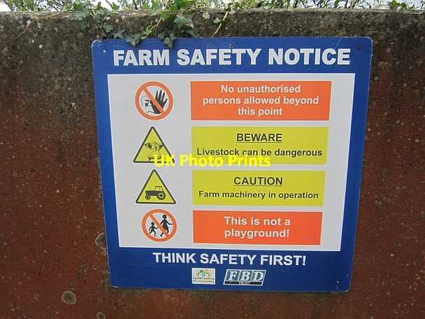 Photo 6"x4" Industrial sign The Pigeons c2012