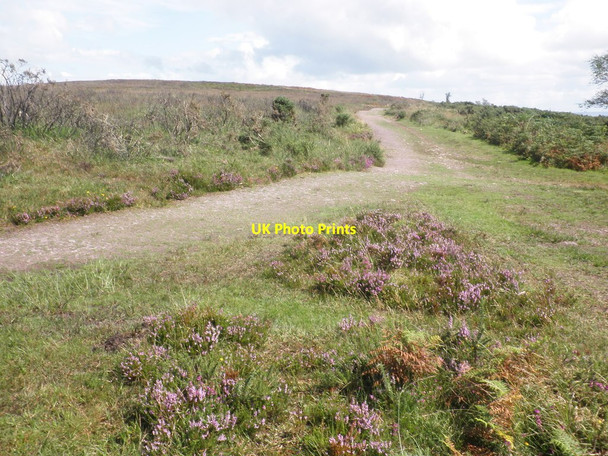 Photo 6"x4" The path towards Haddon Hill Hartford\/SS9529 c2012