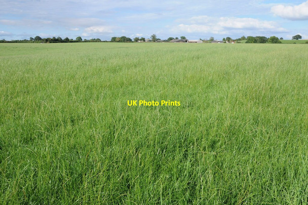 Photo 6"x4" Nashend Farm Linkend c2012