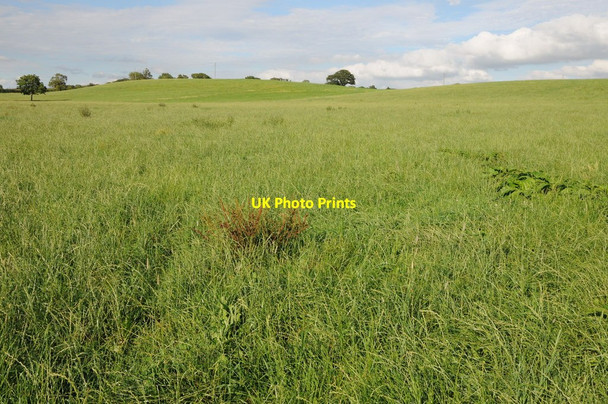 Photo 6"x4" Farmland near Nashend Farm Linkend c2012