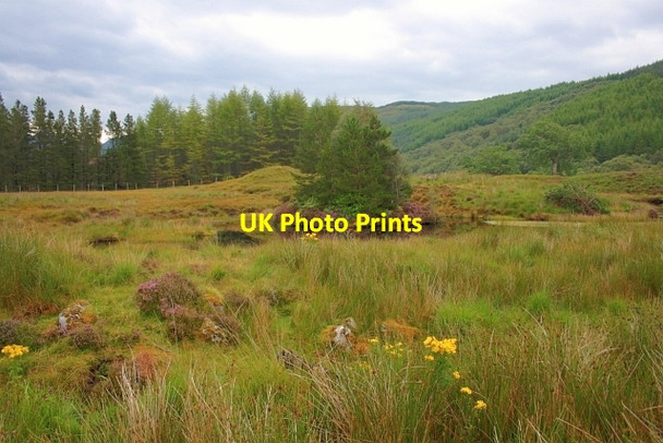 Photo 6"x4" Pond, Ariundle Ariundle c2012