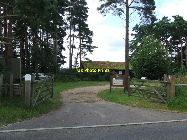 Photo 6"x4" Weeting Heath Nature Reserve Hockwold cum Wilton c2012
