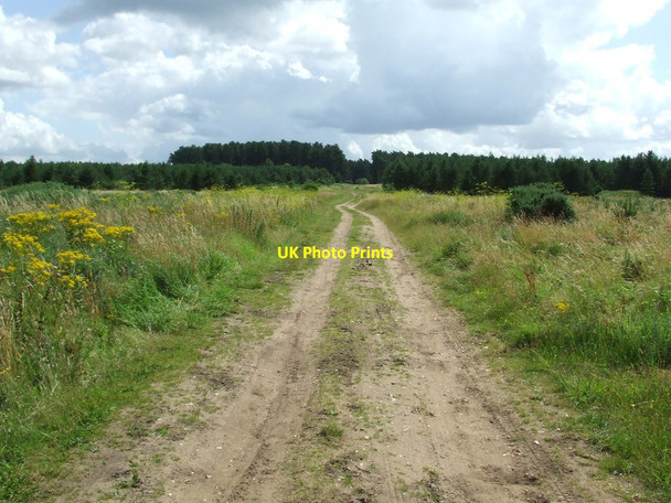 Photo 6"x4" Open Heathland Hockwold cum Wilton c2012