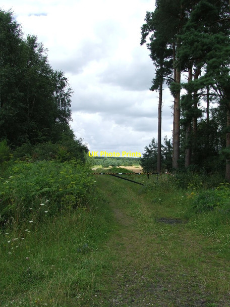 Photo 6"x4" Track With A View Weeting c2012