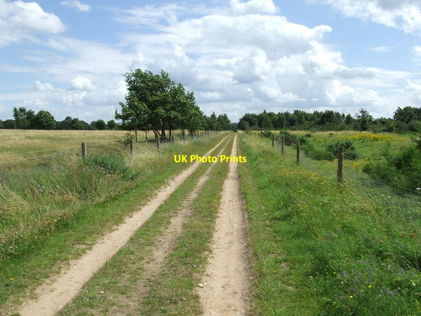 Photo 6"x4" Hockwold Heath Weeting c2012