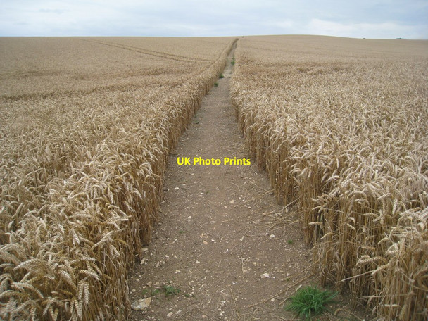 Photo 6"x4" Bridleway to Maidenwell Maidenwell\/TF3279 c2012