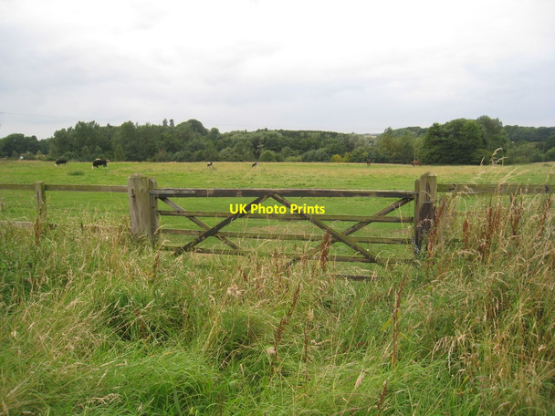 Photo 6"x4" View towards Lawrence Wood Maltby\/TF3184 c2012