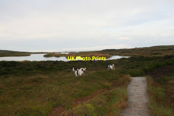 Photo 6"x4" Water of Hoy Water of Hoy c2012