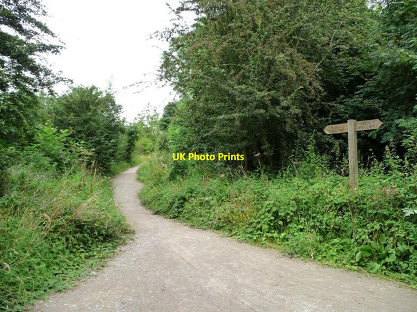 Photo 6"x4" Bridleway heading north through Townclose Hills Garforth c2012