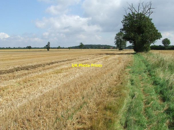 Photo 6"x4" Harvested Field Helmingham c2012