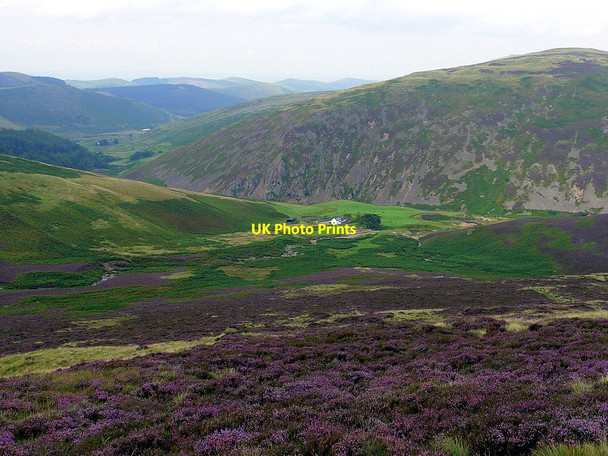 Photo 6"x4" Dunsdale from slopes of Mid Hill Dunsdale\/NT8923 c2012