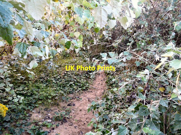 Photo 6"x4" Path through the dunes Lytham St Anne's c2012