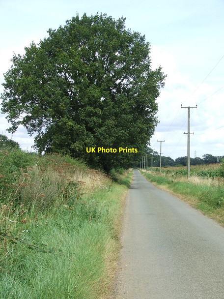 Photo 6"x4" Country Road Bowbeck c2012