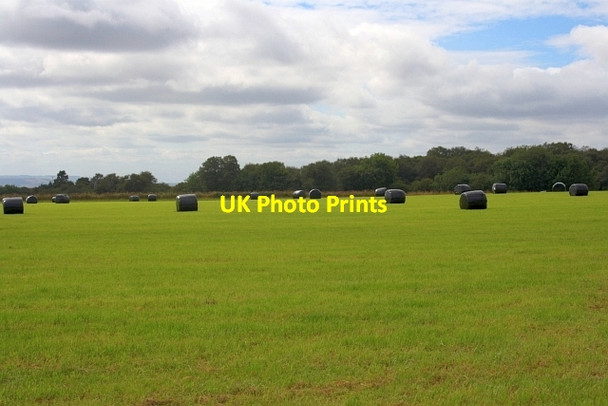 Photo 6"x4" Field near Park Farm Sawdon\/SE9484 c2012