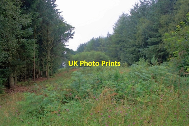 Photo 6"x4" Rise Dikes Sawdon\/SE9484 c2012