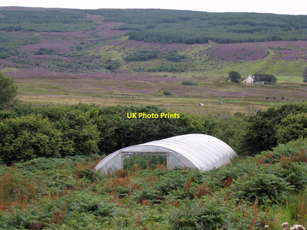 Photo 6"x4" Abandoned polytunnel Blackhill\/NG3450 c2012