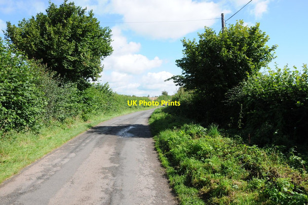 Photo 6"x4" Country road near Madley Madley c2012