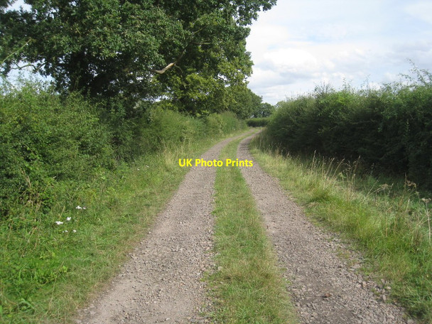Photo 6"x4" Track to Smallhedge Farm Fenwick\/SE5916 c2012