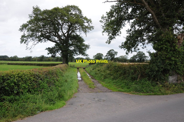 Photo 6"x4" Field entrance near Coed More Farm Allensmore c2012