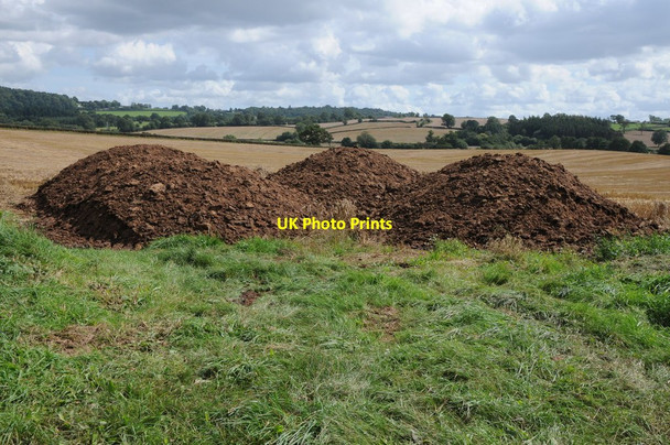 Photo 6"x4" Muck bury The Rhydd c2012