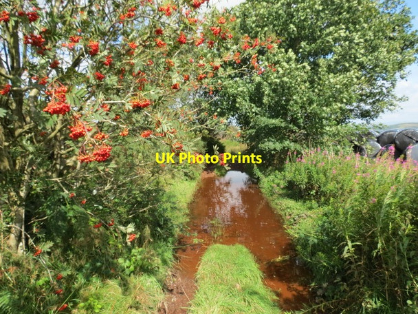 Photo 6"x4" Hen heol i Lywel \/ Old road to Llywel Cwmwysg c2012