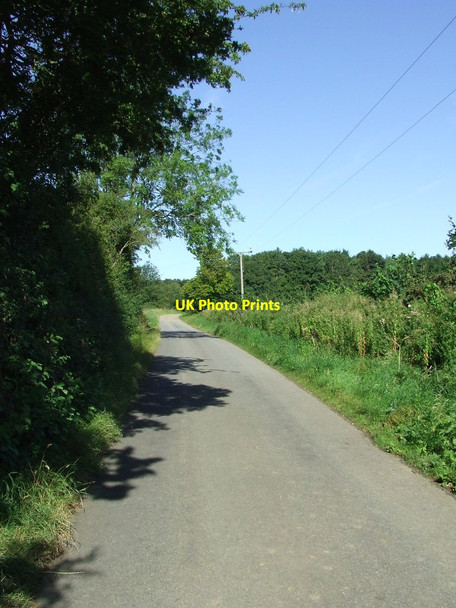 Photo 6"x4" Minor Road Boyden End c2012
