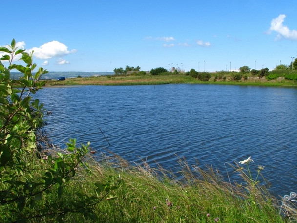 Photo 6"x4" Lagoon near Holywood [1] Holywood\/J3979 c2008