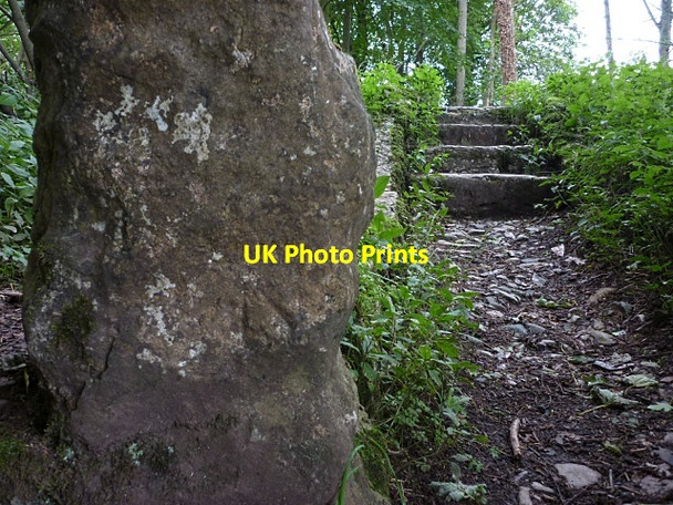 Photo 6"x4" Possible bench mark, Well Field Wood Lindale c2012