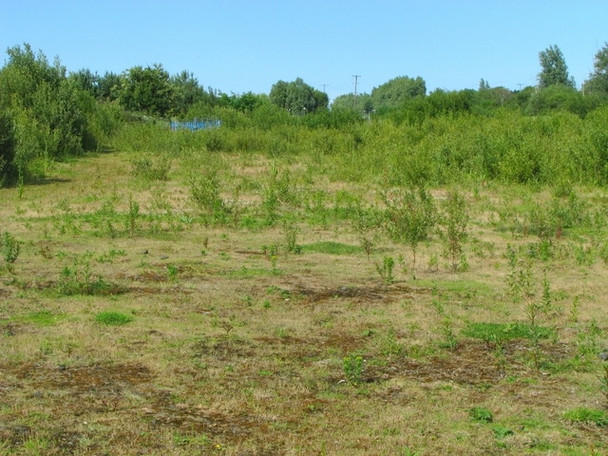 Photo 6"x4" Land near Holywood Holywood\/J3979 c2008