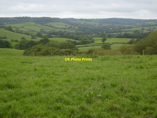 Photo 6"x4" View south of Conegar Hill Catherston Leweston c2012