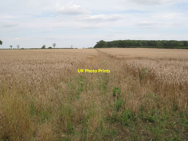 Photo 6"x4" Footpath to Pickworth Sapperton\/TF0133 c2012