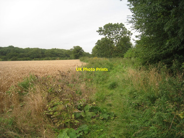 Photo 6"x4" Footpath to Newton Newton\/TF0436 c2012