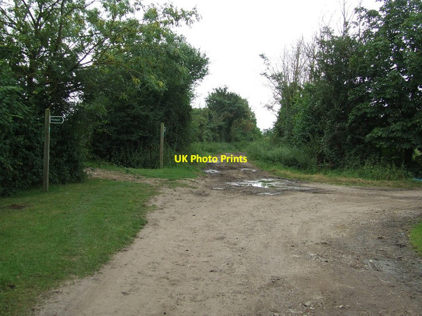 Photo 6"x4" Footpath Junctions Winston\/TM1861 c2012