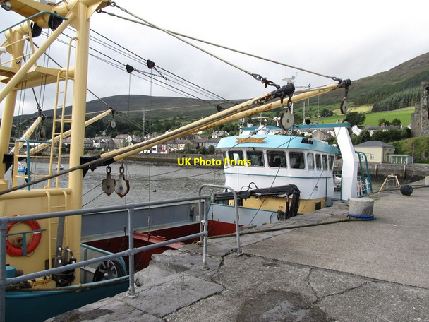 Photo 6"x4" The Mytilus moored at Carlingford Carlingford c2012