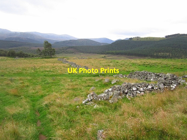 Photo 6"x4" Dykes, Auchtavan Thistledae c2012
