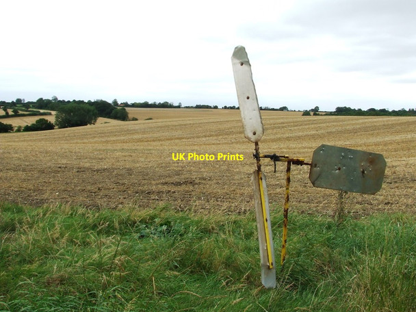 Photo 6"x4" Bird Scarer Pettaugh c2012