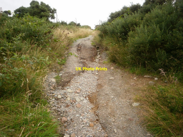 Photo 6"x4" Brimmond Hill Country Park Chapel of Stoneywood c2012 P1