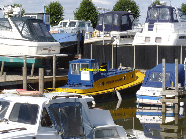 Photo 6"x4" Friar Tuck tug, Newark Marina  Newark-on-Trent c2012