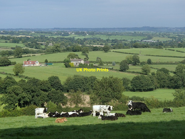 Photo 6"x4" View from Edge Moor Crich c2012