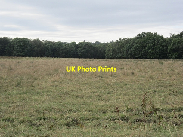 Photo 6"x4" A  Lathallan field Largoward c2012