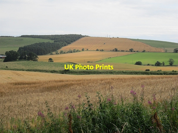 Photo 6"x4" Barley, Gilston Largoward c2012