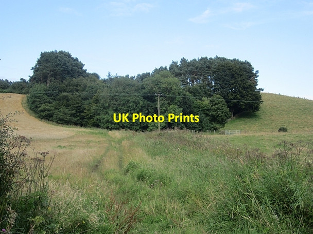 Photo 6"x4" Wood, West Gilston Mains Woodside\/NO4207 c2012