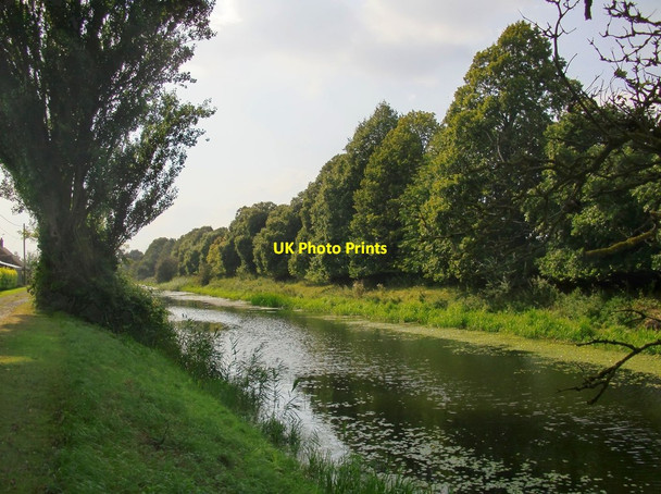 Photo 6"x4" The Royal Military Canal at Priory Lands Appledore\/TQ9529 c2012