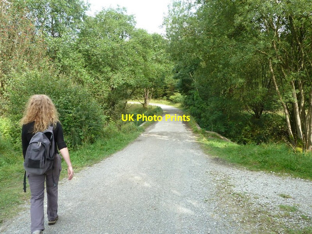 Photo 6"x4" Approaching bridge over Bottoms Beck Tosside c2012
