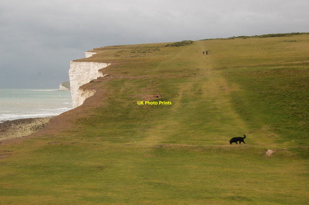 Photo 6"x4" On the South Downs Way above Flagstaff Point Birling Gap c2012