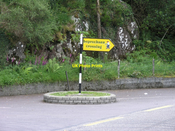 Photo 6"x4" Leprechaun Crossing Muckross c2012