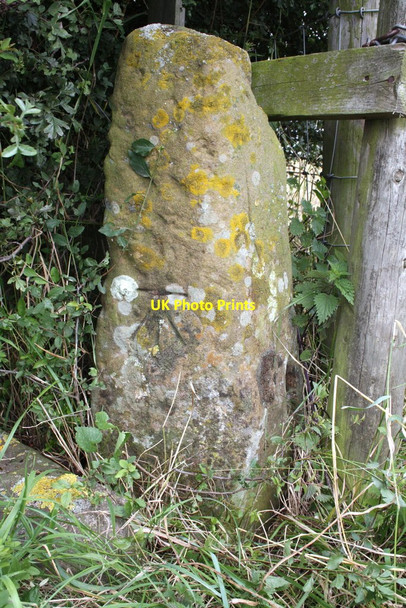 Photo 6"x4" Benchmark on gatepost on Fullicar Lane Northallerton c2012