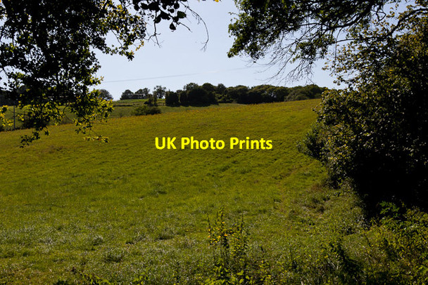 Photo 6"x4" Field running up Green Hill Blackdown\/SU5322 c2012