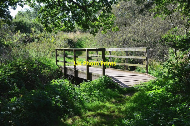 Photo 6"x4" Footbridge over the Abbey Burn Coldingham c2012